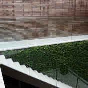 Glass Balustrading Stairs 6