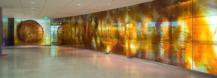 Laminated Glass Wall in Seattle